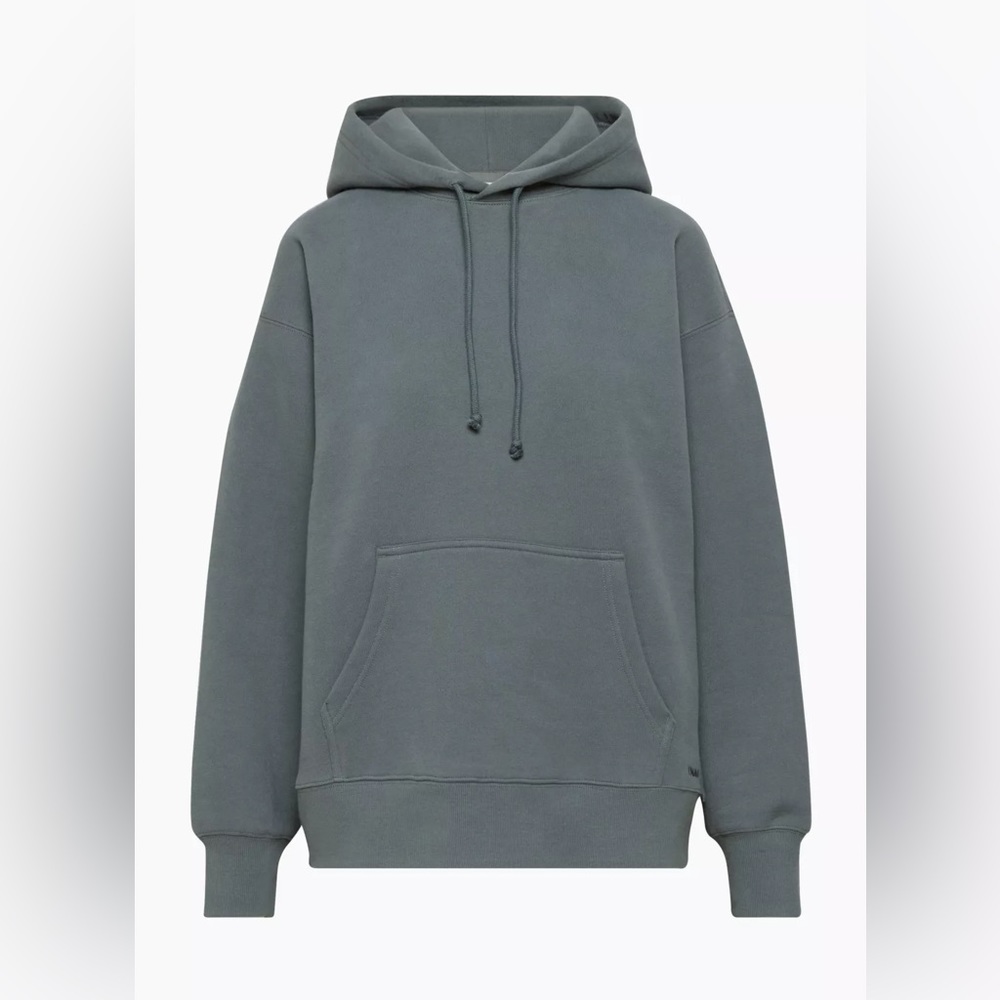 Aritzia echo grey cozy fleece boyfriend hoodie
